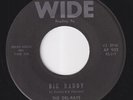 The DEL-RAYS * 1964 USA SURF HOT ROD ROCKER 45 * Listen
