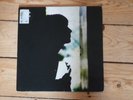 Paul WELLER Wild Wood LP Vinyl 1993 First Press Go  Discs