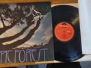 Rare Bird Epic Forest UK LP Polydor 1972 1st Pressing & Rare Poster