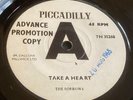 THE SORROWS -  Take A Heart - We Should Get Along Fine - PROMO DEMO - 1965 - UK