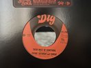vinyl records 45 rpm Friday Saturday Sunday “There Must Be Something “ New