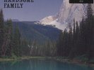 The Handsome Family - Through The Trees 20t (Vinyl LP+CD - 2018 - UK - Original)