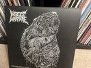 Insect Warfare – Entomological Siege 2004/2009 LP Vinyl F.O.A.D. Records Metal