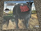BLINK 182 Dude Ranch LP on SPLATTER COLOR VINYL New STILL SEALED