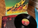 VINTAGE WALL OF VOODOO DARK CONTINENT LP FIRST PRESS IRS SP70022 PROMO NEW WAVE