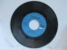 WW 234 The Turtles White Whale 45 RPM Record   82B35