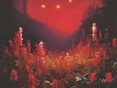 Silent Planet Superbloom Vinyl LP 2023 NEW