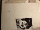 fleetwood mac tusk vinyl lp Double Album Record 1979 Warner