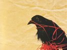 DEATH CAB FOR CUTIE Transatlanticism - 2003 20th Anniversary Vinyl LP Rock Music