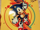 Sonic Mania - SIGNED Sonic Team soundtrack OST SEGA vinyl