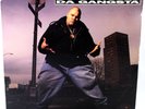 Fat Joe Da Gangsta – Represent Relativity 1993 Us Original (1LP/Vg++/Vg) No.419