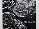 The Sundays - Reading Writing and Arithmetic GREY COLOR VINYL Limited Edition LP