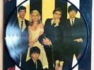 Blondie Parallel Lines. LP In VGC. Picture Disc.. 1978