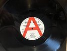The Stone Roses Demo Vinyl Waterfall / One Love RARE