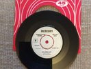 DEMO VINYL RECORD RARE THE DANLEERS ONE SUMMER NIGHT