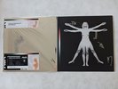 Signed Tom Delonge Angels and Airwaves Lifeforms Orange Dream Red Smoke Vinyl