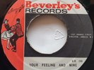 45 REGGAE / KEN BOOTHE / YOUR FEELING AND MINE / BEVERLEY'S / LISTEN