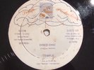 Trinidad Disco Soca 12” Temple - Disco chic on Semp HEAR