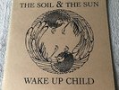 Rare 2011 The Soil & The Sun Wake Up Child Vinyl Record - Grand Rapids Michigan
