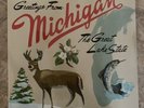 NEW SEALED Sufjan Stevens - Greetings from Michigan BLUE / GREEN Vinyl 2xLP