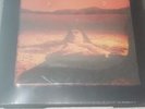 Alice in Chains - DIRT - 30TH ANNIVERSARY DELUXE BOX SET - LTD EDITION IN HAND