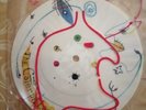 The Cure Caterpillar Picture Disc/record/sleeve Excellent Cond/rare