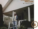 One Thing At A Time by Morgan Wallen (Record, 2023) NEW VINYL (LP)