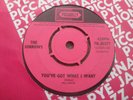 THE SORROWS: YOU GOT WHAT I WANT 1965 PICCADILLY 45RPM SUPERB EX+ FREAKBEAT MOD