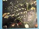 33 Giri Lp dei Decibel 