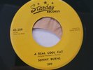 Sonny Burns -A Real Cool Cat- Rockabilly 45 on Starday a3