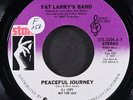 FAT LARRY'S BAND: peaceful journey / mono STAX 7