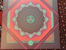 Grateful Dead Cornell 5/8/77 Vinyl