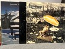 Supertramp Vinyl Bundle 12” 3x Crisis? What Crisis? Crime Of The Century