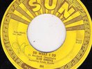 SLIM RHODES SUN 256 DO WHAT I DO  VG +  45 RPM