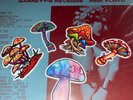Mushroom Stickers W/Free Syd Barrett’s Revenge Pink Floyd Bonus 2lp Nm Rare