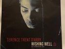 Terence Trent D'arby - Wishing Well The Darbinian Mix UK 12