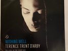 Terence Trent D'arby - Wishing Well COOL IN THE SHADE Mix UK 12