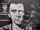 Peter Gabriel - Ein Deutsches Album (LP, Album,180) NEW