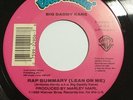 BIG DADDY KANE RAP SUMMARY / LONG LIVE THE KANE. RAP HIP HOP 45 RPM 7.