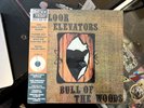 13th Floor Elevators 
