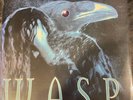 WASP W.A.S.P. STILL NOT BLACK ENOUGH Vinyl Record SEALED EURO IMPORT