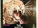 Peter Green - The End Of The Game - Vinyl LP - Record Near Mint/Cover Very Good