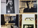 Sting–Nothing Like The Sun & The Dream Of The Blue Turtles ( 2 Albums )