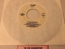 SHAGGY In the Summertime / Boombastic  45 rpm record w/jukebox title strip.
