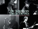 WATERBOYS - THIS IS THE SEA: FAST VERSION - BLACK FRIDAY 2023 10'' EXCLUSIVE