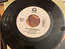 The Cranberries Zombie Ode To My Family Island Records 45 RPM Vinyl R2344