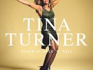 TINA TURNER QUEEN OF ROCK 'N' ROLL NEW LP