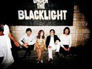 Rilo Kiley - Under The Blacklight - Black Friday 2023 | [Purple