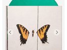 Paramore Brand New Eyes Teal Vinyl SEALED OOP LP Color Record Variant Newbury