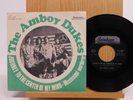 The Amboy Dukes Denmark rock 45 Journey To The Center Of My Mind bw Mississippi